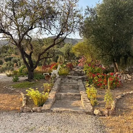Gospodarstwo wiejskie Casa Anita - La Almona Chica El Chorro